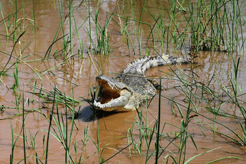 3 Days Exploring Arba Minch: Lakes, Tribes & Nature
