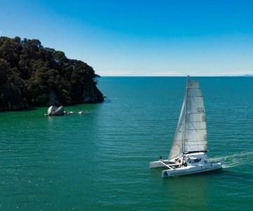 Abel Tasman National Park: Sailing and Self-Guided Walk