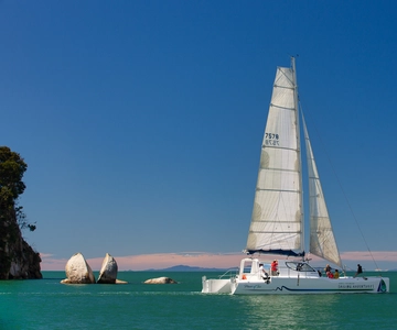 Abel Tasman National Park: Day Sailing Adventure with Lunch