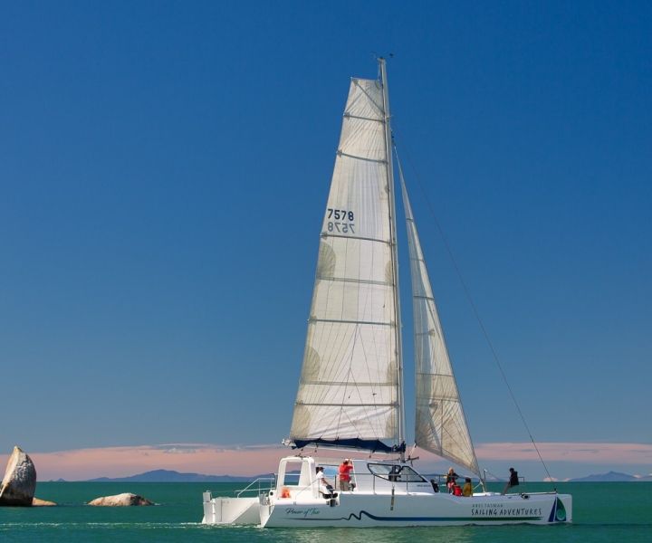 Abel Tasman National Park: Day Sailing Adventure with Lunch