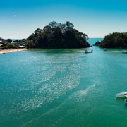 Abel Tasman National Park: Cruise, Walk & Sailing Tour Abel Tasman National Park: Cruise, Walk & Sailing Tour