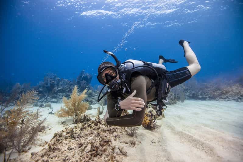 Fujairah Scuba Diving Experience with BBQ lunch GetYourGuide