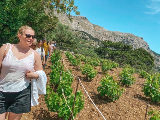 Visit Volada Vineyard Visit with Wine Tasting and Nature Walk in Epirus
