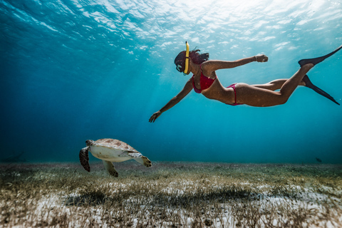 Dubai: snorkeltrip van een hele dag in Fujairah met barbecuelunch