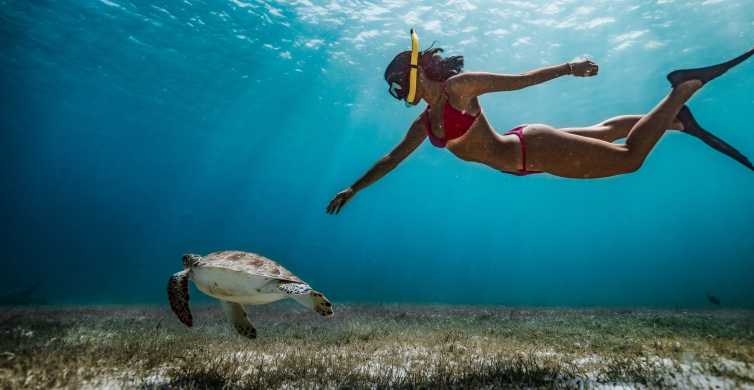 Les Meilleurs Appareils Photo pour le Snorkeling