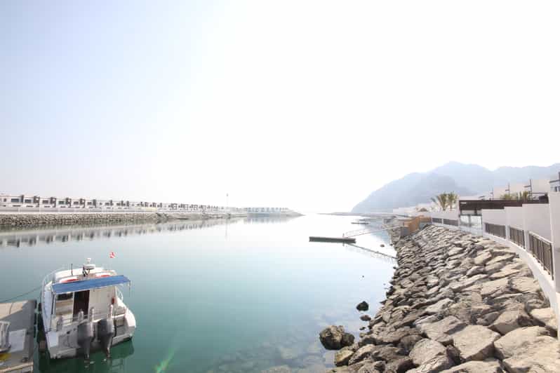 From Dubai Fujairah Scuba Experience for Certified Divers GetYourGuide