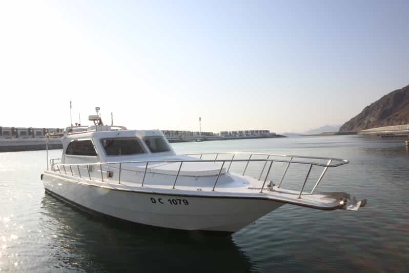 From Dubai Fujairah Scuba Experience for Certified Divers GetYourGuide