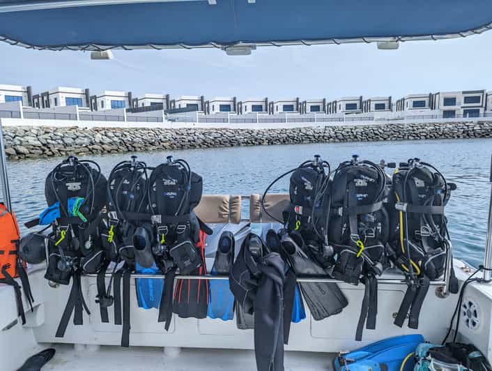 From Dubai Fujairah Scuba Experience for Certified Divers GetYourGuide