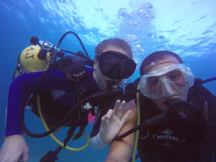 Dubai Reef of Burj Al Arab Scuba Diving Experience GetYourGuide