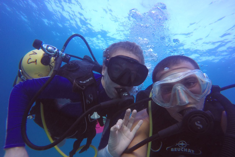 Dubai: Reef of Burj Al Arab Scuba Diving Experience