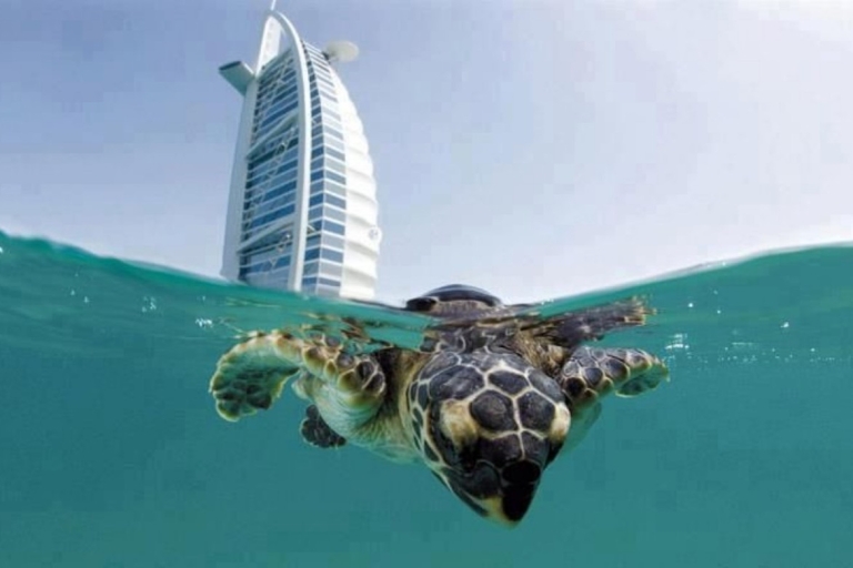 Dubaï : Expérience de plongée sous-marine sur le récif du Burj Al Arab