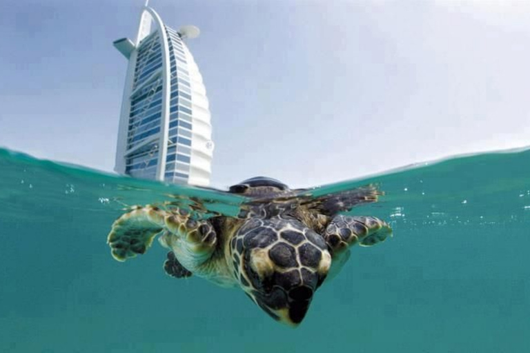 Dubaï : Expérience de plongée sous-marine sur le récif du Burj Al Arab