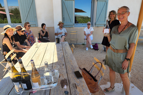 Marseille : Excursion d'une journée en Côte de Provence avec dégustation de vins