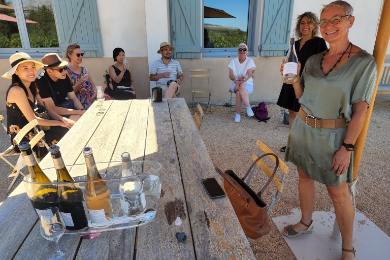 Marsylia: jednodniowa wycieczka do Cote de Provence z degustacją wina