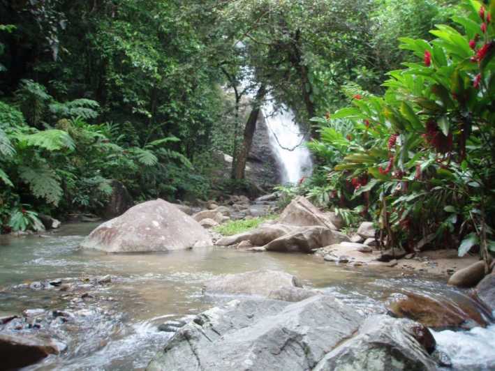 Tropical Rainforest Waterfall Day Tour