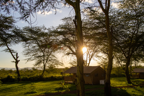 Von Sansibar aus: Safari nach Tarangire, Ngorongoro und ManyaraStandard Option