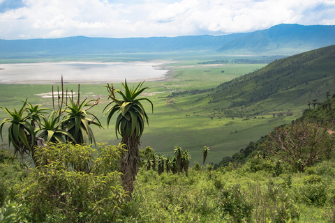 Von Sansibar aus: Safari nach Tarangire, Ngorongoro und ManyaraStandard Option