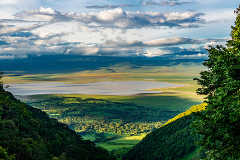 Depuis Zanzibar : Safari à Tarangire, Ngorongoro et ManyaraOption standard