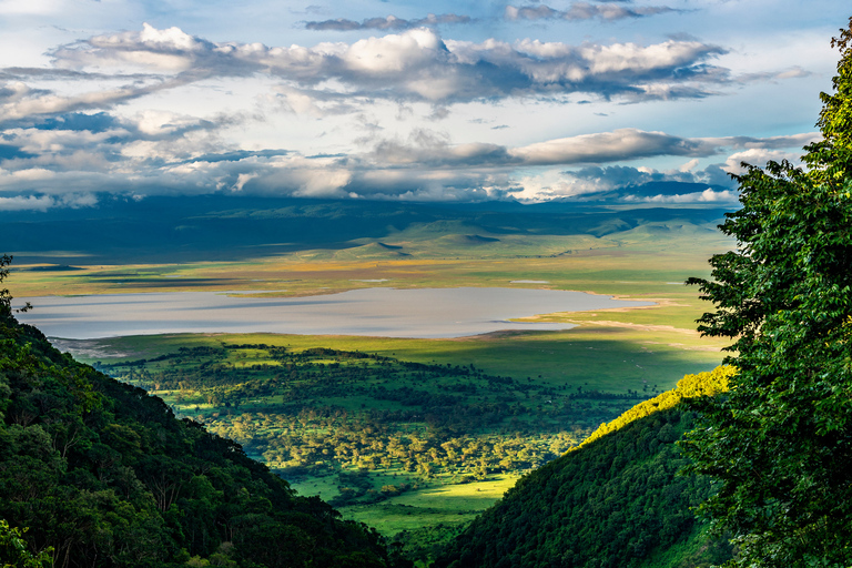 Depuis Zanzibar : Safari à Tarangire, Ngorongoro et ManyaraOption standard