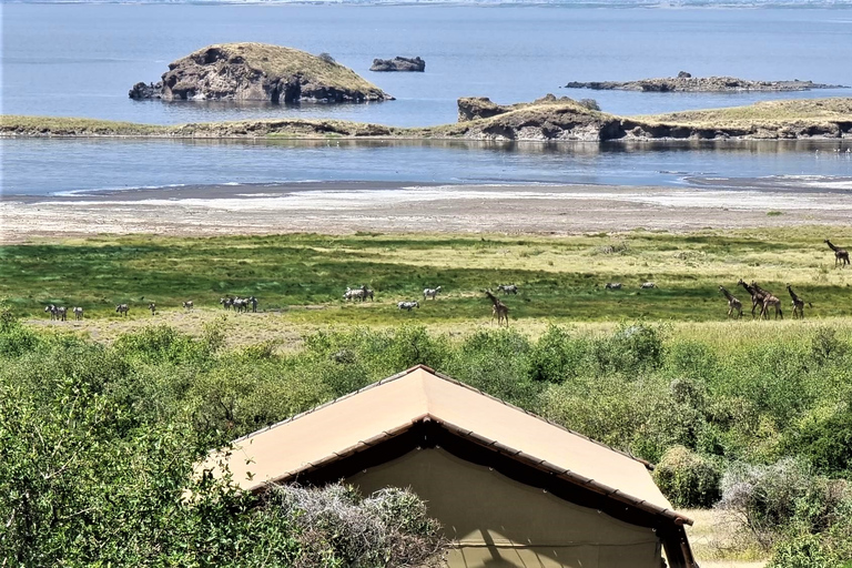 De Zanzibar: Safári de 5 dias com tudo incluído pela TanzâniaDe Zanzibar: Safari de 5 dias com tudo incluído pela Tanzânia