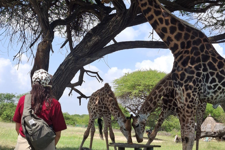 Mombasa:Nguuni Nature Sanctuary and Sundowner