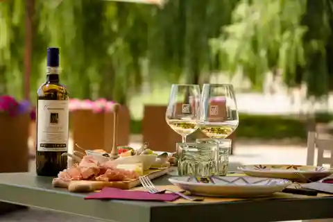 Tour pela vinícola com degustação de vinhos e almoço