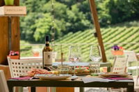 San Gimignano, Tour in Azienda Vinicola con Degustazione e Pranzo - Hizvo