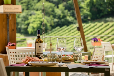 San Gimignano: wycieczka po winnicy z degustacją wina i lunchemLunch i degustacja w języku włoskim