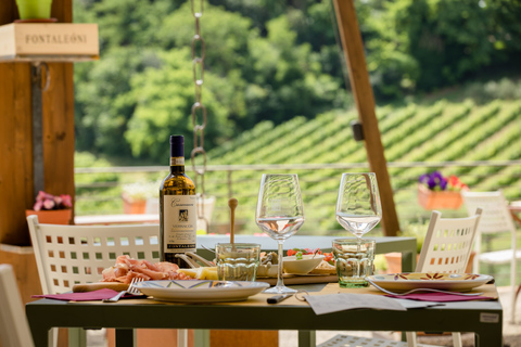 San Gimignano: Kellertour mit Weinverkostung und MittagessenMittagessen & Verkostung auf Italienisch