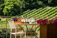 San Gimignano, Tour in Azienda Vinicola con Degustazione e Pranzo - Hizvo