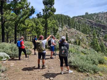 Gran Canaria: Excursión de Senderismo "Picos de Gran Canaria