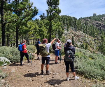Gran Canaria: "Peaks of Gran Canaria" Hiking Tour