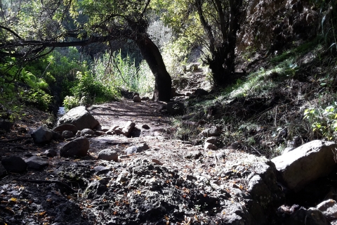 Gran Canaria: Magic Waterfalls Hiking Tour Activity with Pick up in "Maspalomas" zone
