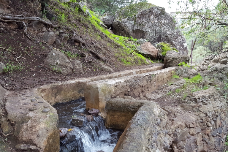 Gran Canaria: Magische Wasserfälle WandertourAktivität mit Abholung in der Zone "Maspalomas"