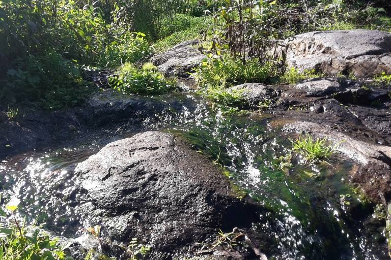 Gran Canaria: Magische Wasserfälle WandertourAktivität mit Pick up in der "Mogan"-Zone