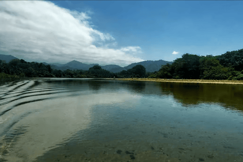 Santa Marta: Passeio de paddleboard e chocolate no rio Don DiegoSanta Marta: Passeio de paddleboard pelo rio Don Diego e degustação de chocolate