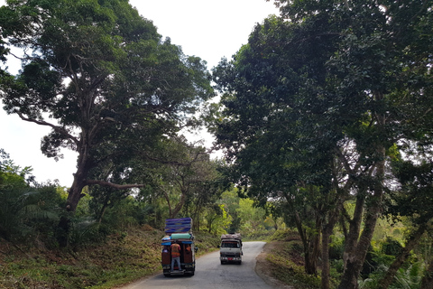 Pemba Island Tour Trip