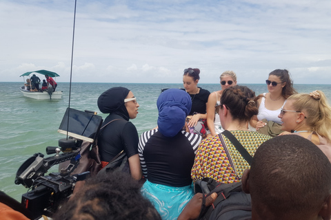 Pemba Island Tour Trip