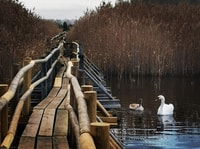 Kemeri National Park Outdoor Tour - Housity