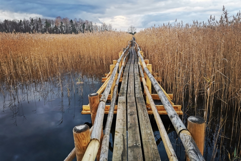 Van Riga/Jurmala/Vecriga: Kemeri National Park Outdoor TourKemeri National park weg van drukke paden