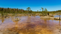Kemeri National Park Outdoor Tour - Housity