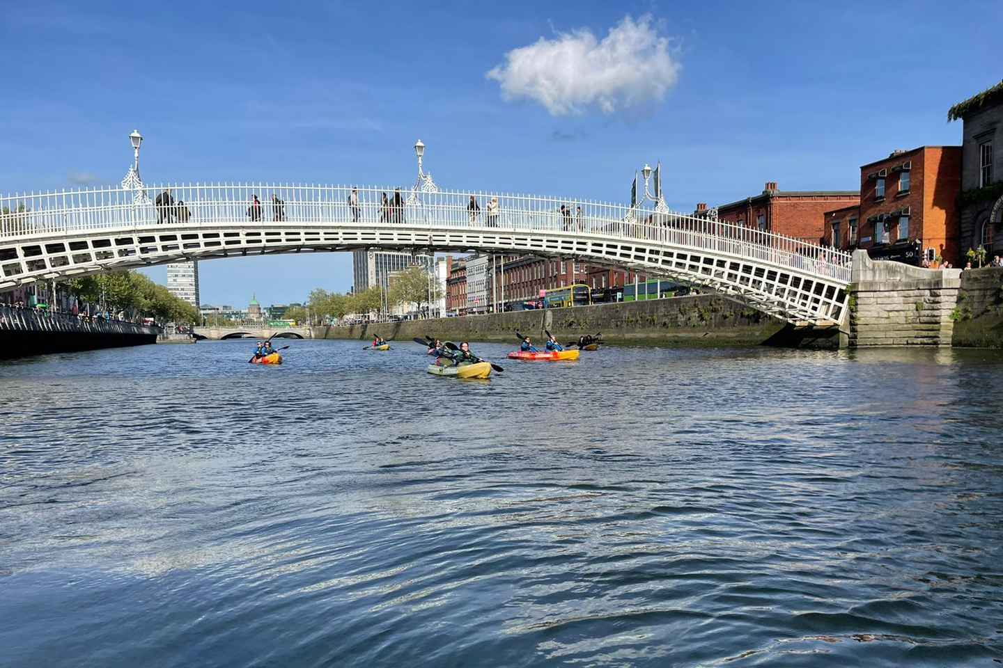 Top 10 Boat Tours In Dublin, Ireland Updated 2024 Trip101