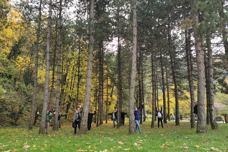 Samobor: Town and Castle Walking Tour