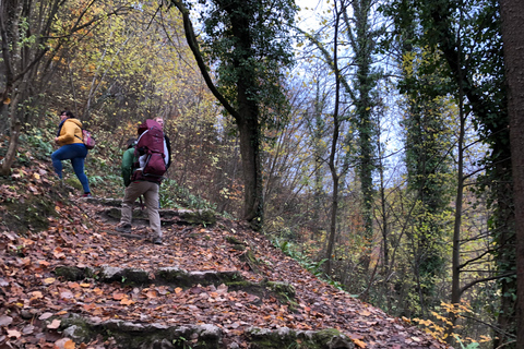 Samobor: Town and Castle Walking Tour