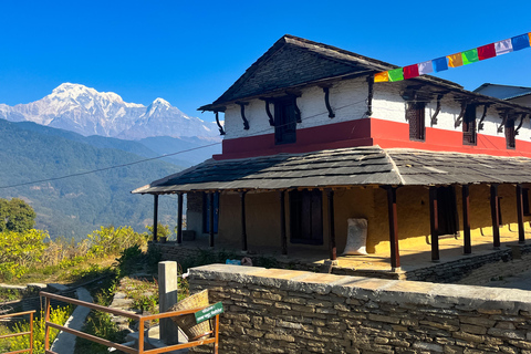 Campamento australiano y Dhampus: tour privado de senderismo de 2 díasCampamento Australiano y Dhampus: tour privado de senderismo de 2 días