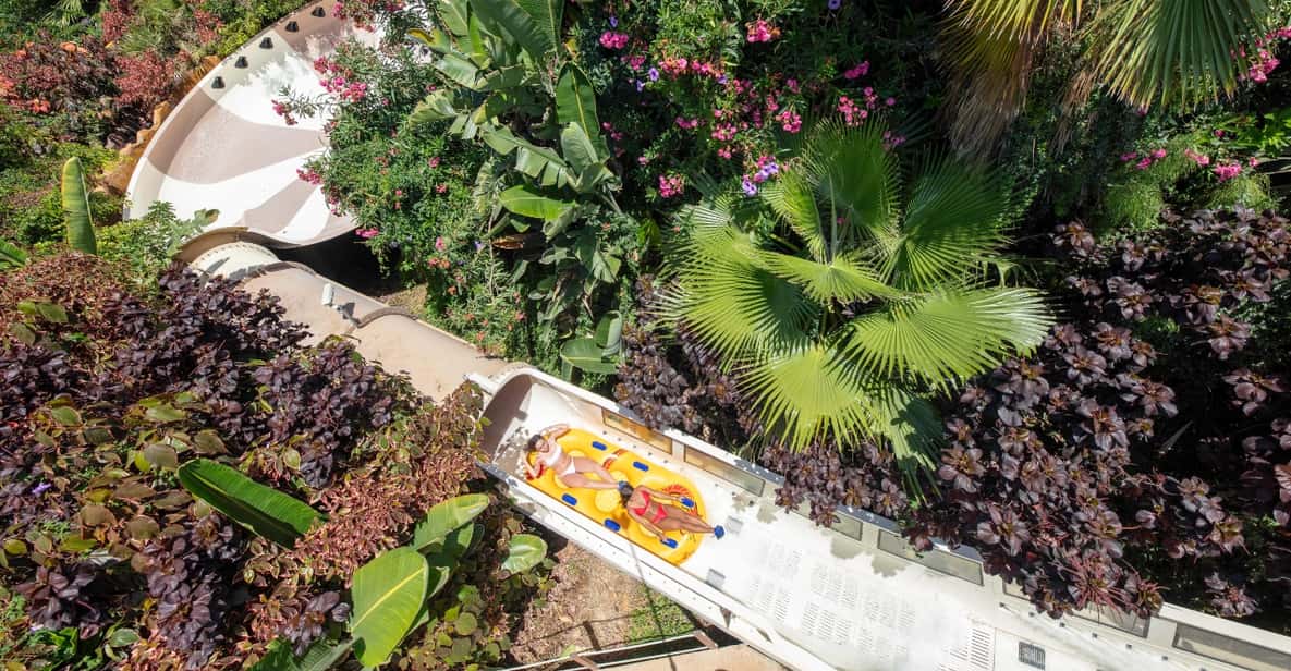 Afbeelding 24 van Gecombineerde toegangstickets voor Loro Parque en Siam Park