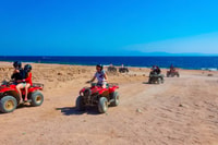 Sharm El Sheikh, Canyon coloré, Blue Hole & Dahab voyage d'une journée - Hizvo