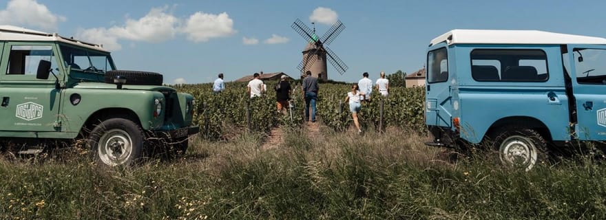 Lyon : Visite privée d'une demi-journée des vins du Beaujolais par Defender