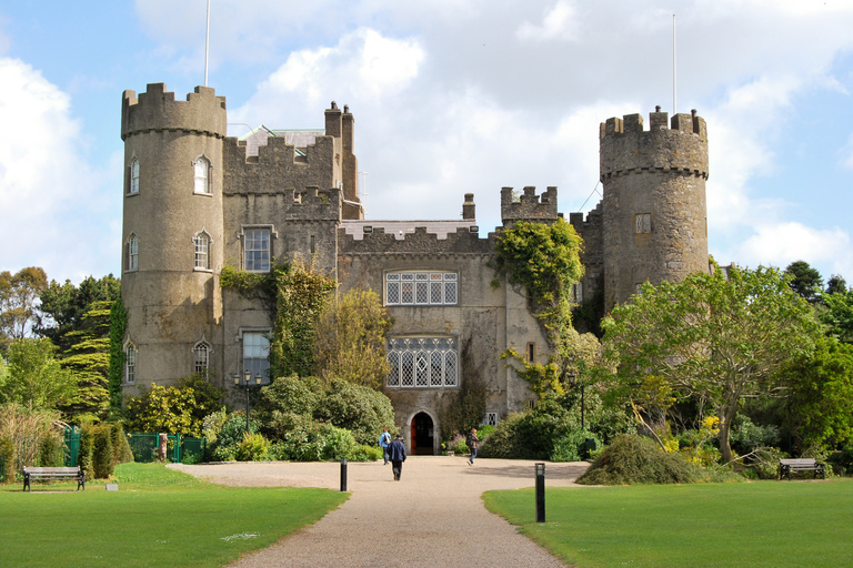 Dublin: 2-Hour Guided City Tour for American Tourists