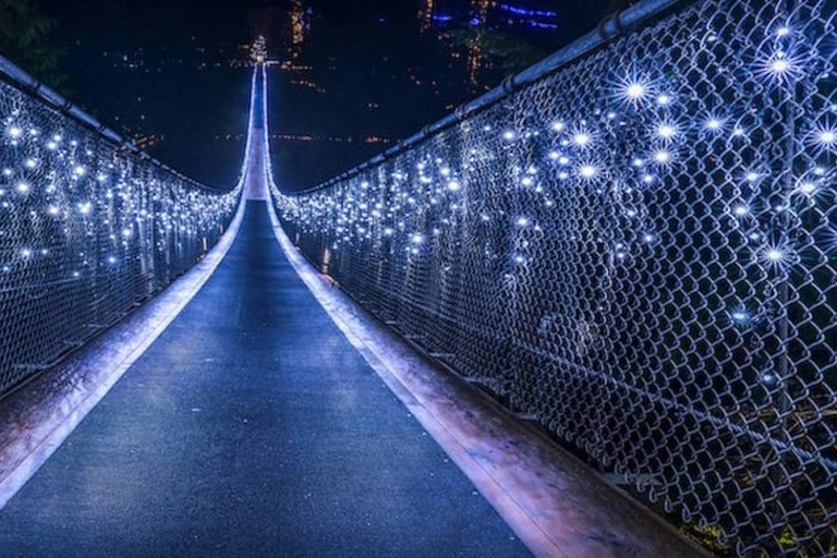 Vancouver : Visite guidée des attractions au crépuscule avec dîner